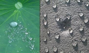 非固化防水涂料的特點(diǎn)有哪些